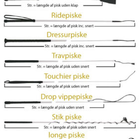 Ridepiske og ridespore Ridepiske og ridespore
