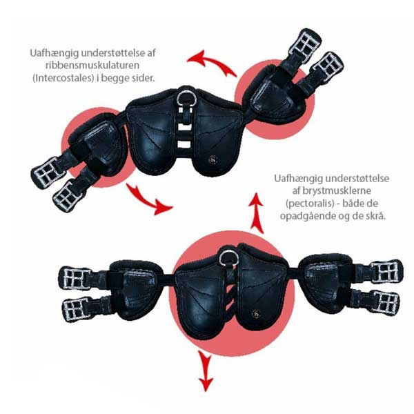 Scharf Freedom-gjorden