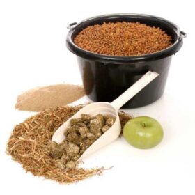 Tilskudsfoder og vitaminer til heste