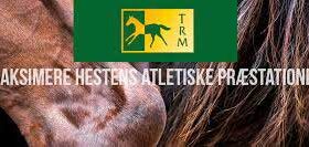 TRM kosttilskud til heste i topform