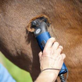 hestetrimmer kraftig og profesionelle