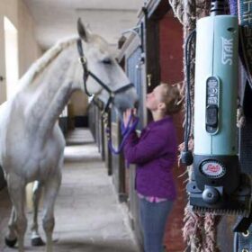 kraftige Wahl hestetrimmere